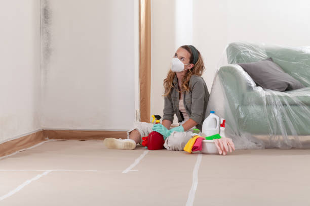 Reliable Black Mold Removal contractor in Wilmington, IL by WQB Mold Removal